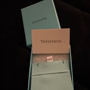 Tiffany & Co. Aqua Presentation Box